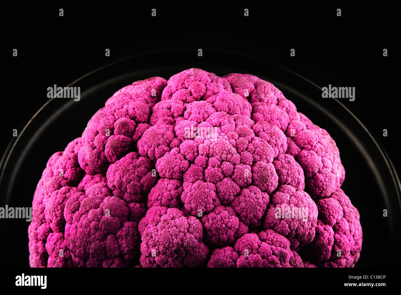 Purple Cauliflower on black background Stock Photo