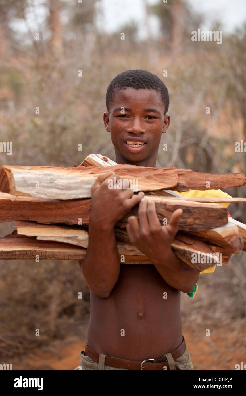 Young Man carrying cut wood for removal from spiny forest. Fuel. Charcoal production. Ifaty. Madagascar. Stock Photo