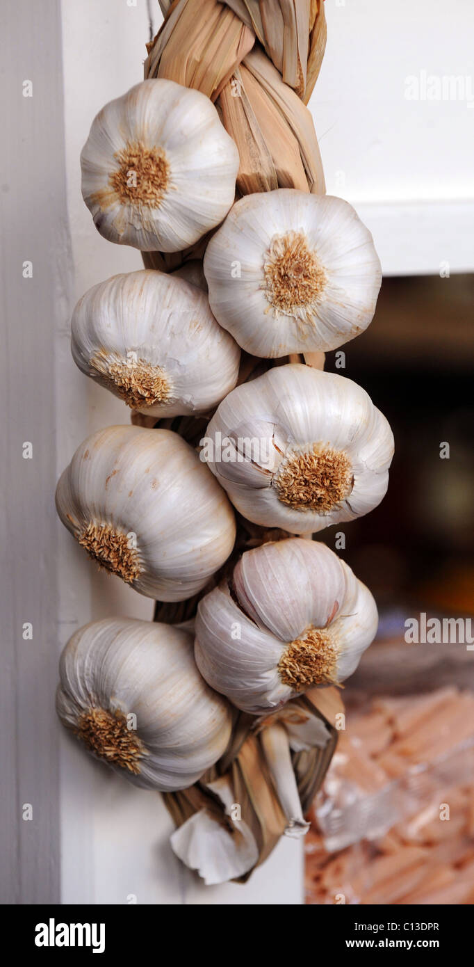 A string of Garlic bulbs hung in a delicatessen shop Stock Photo