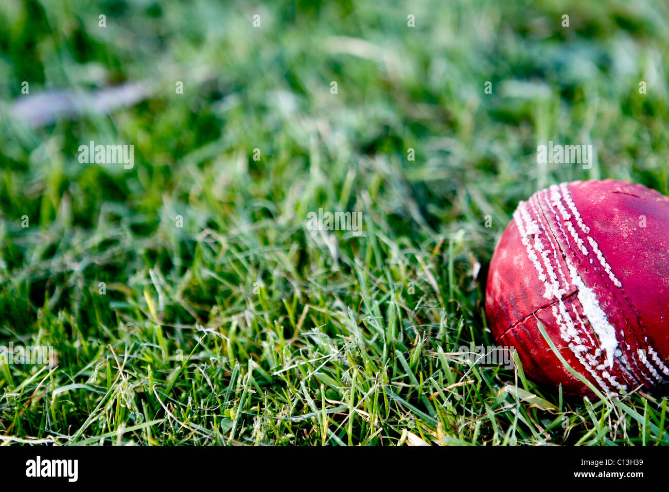 Cricket ball with broken seam on grass Stock Photo Alamy