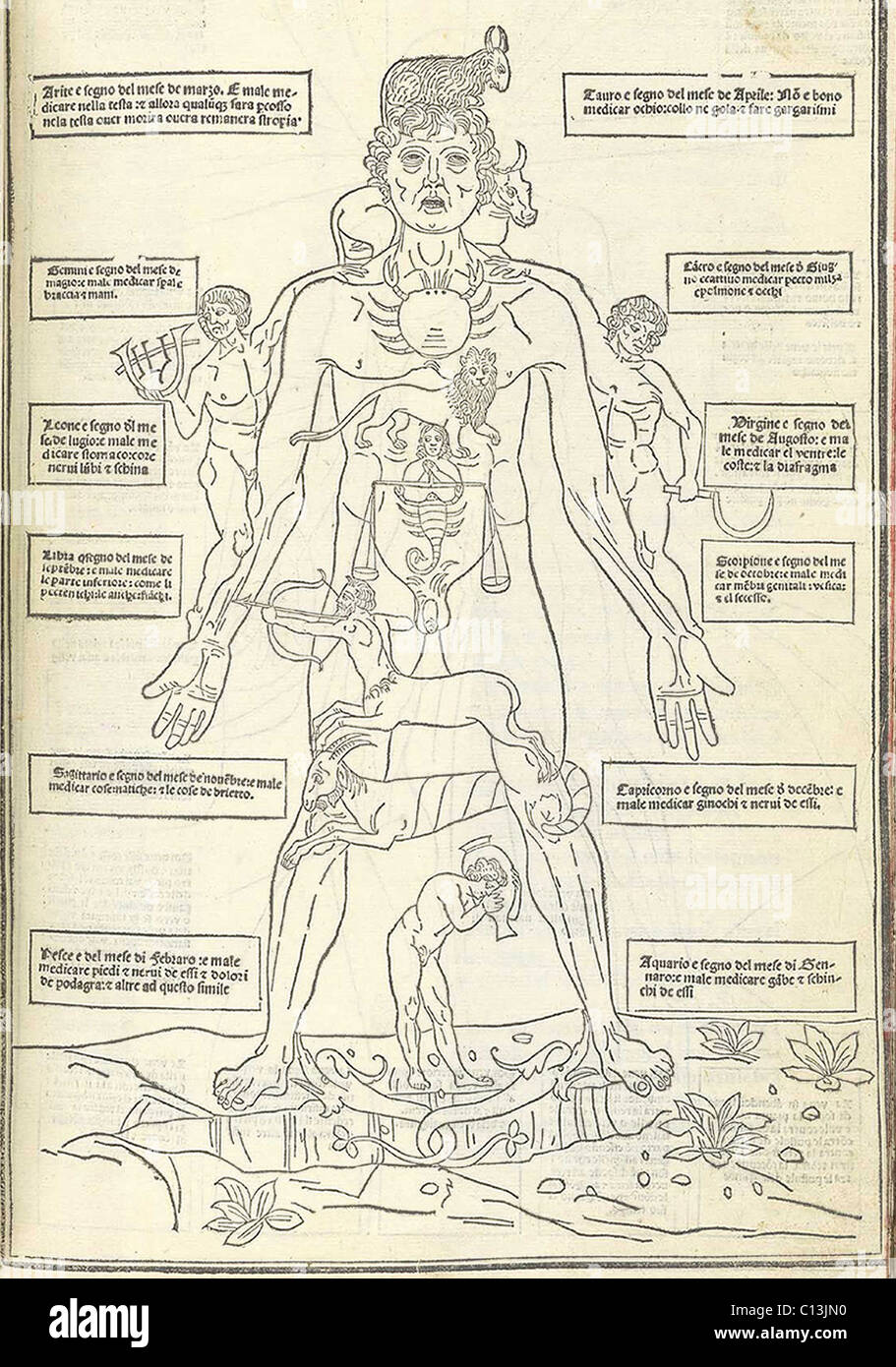 Zodiac Man from illustrating how the human body relates to the zodiac signs. The ancient medical theory held that the four humors were influenced by the position of the stars, linking health care to astrology. From Johannes de Ketham's FASCICULUS MEDICINAE (Venice, 1495). Stock Photo