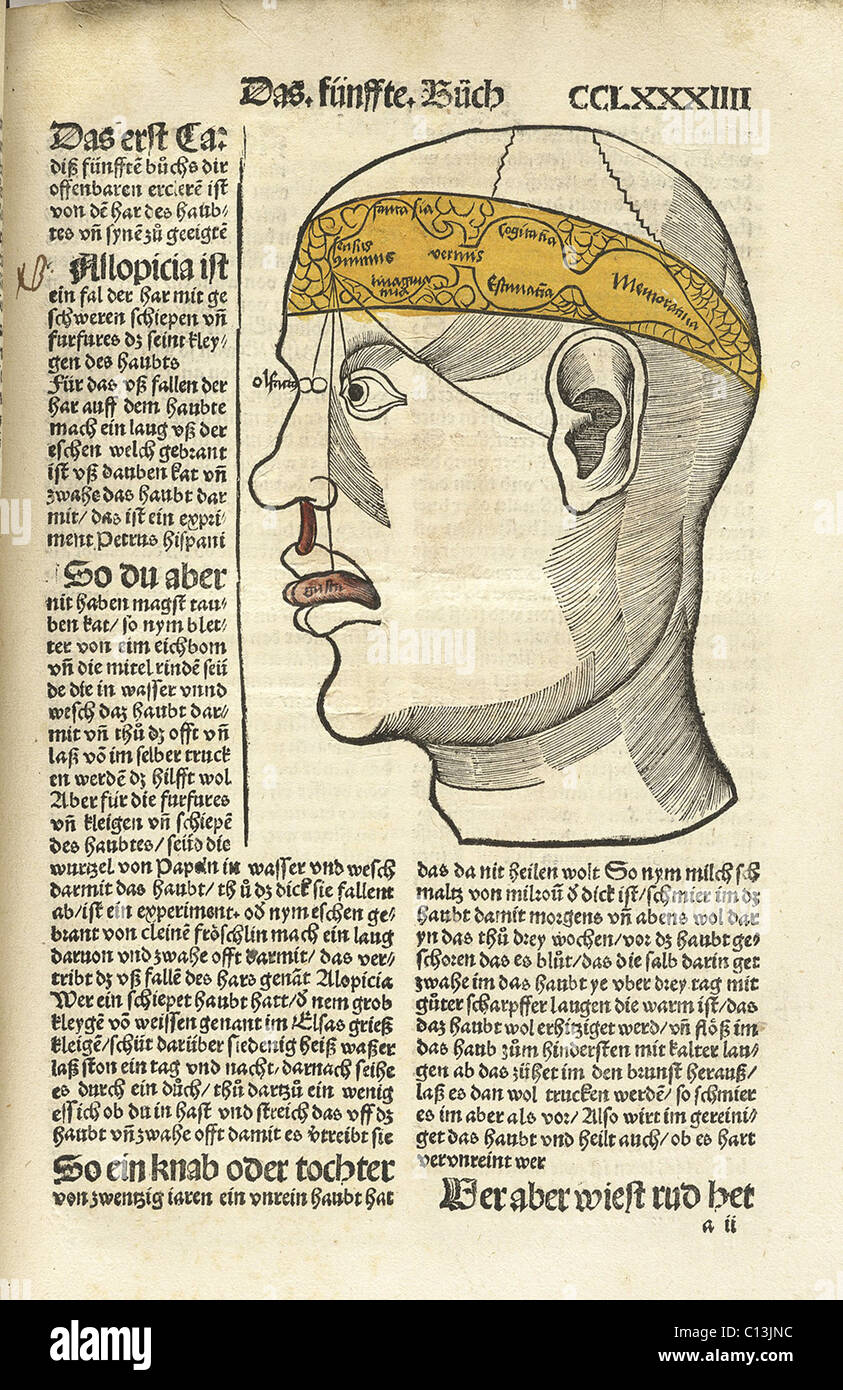 Senses and their corresponding parts of the brain, with lines connecting the senses of taste, hearing, sight, and smell to areas of the brain. MARGARITA PHILOSOPHICAL , a broadly used textbook covering the liberal arts of Latin grammar, dialectics, rhetoric, arithmetic, music, geometry, astronomy, physics, natural history, physiology, psychology, and ethics, by Gregor Reisch, 1512. Stock Photo