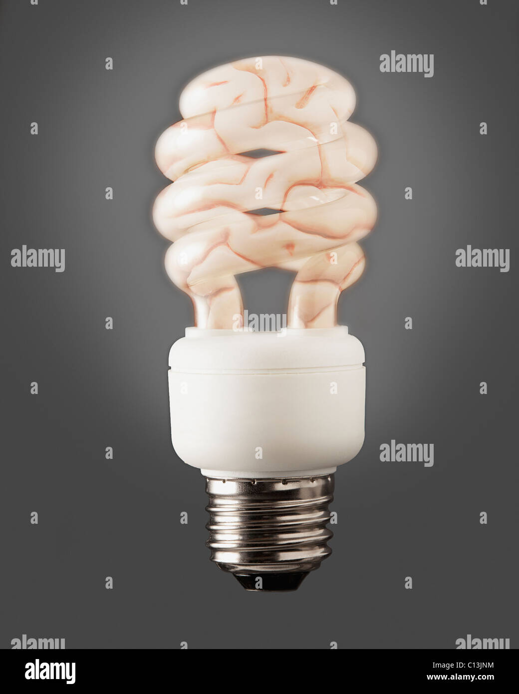 Composition of energy efficient bulb and human brain Stock Photo