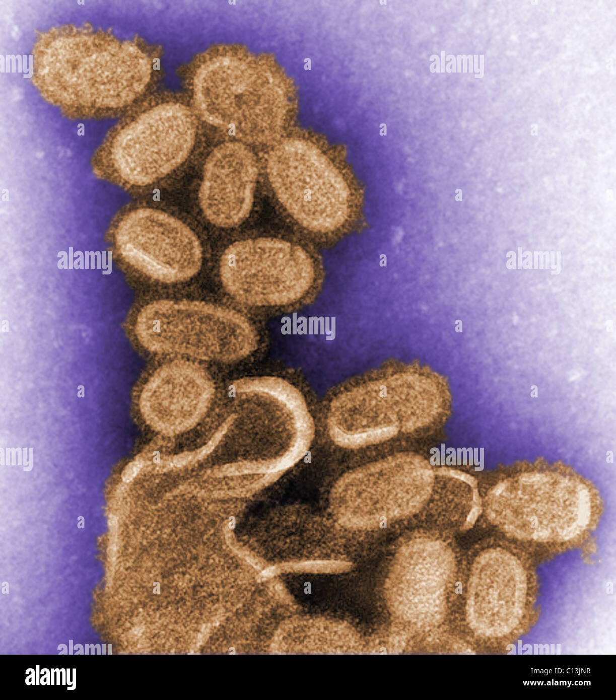1918 influenza hi-res stock photography and images - Alamy