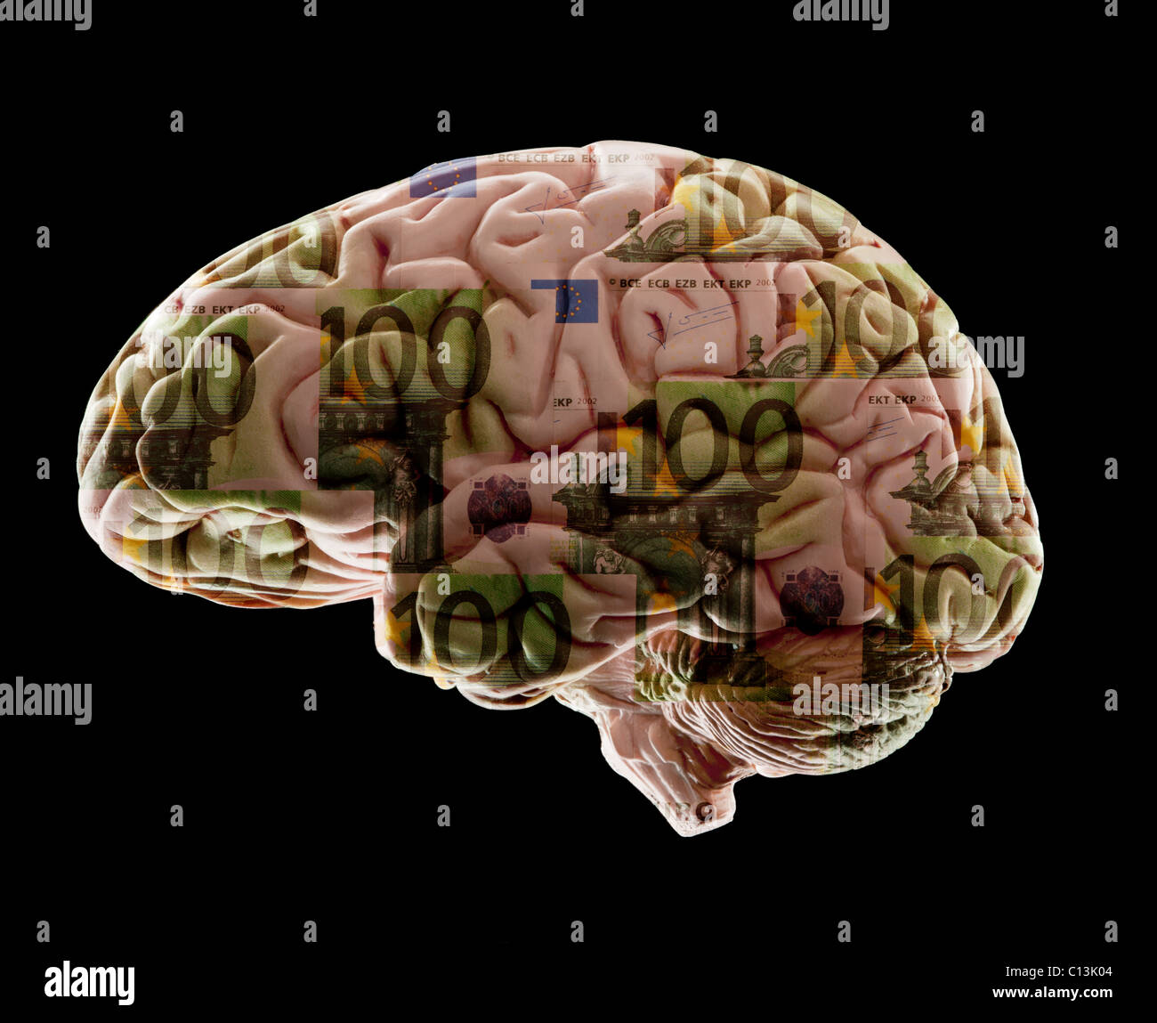 Composition of human brain model and one hundred euro notes Stock Photo ...
