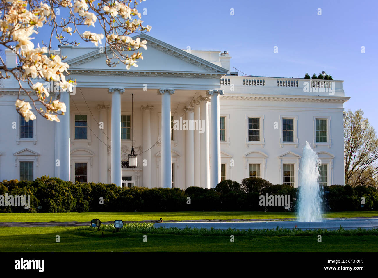 Cherry blossoms bloom in front of the White House along Pennsylvania Avenue, Washington, DC, USA Stock Photo