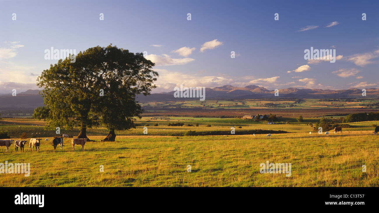 View across Flanders Moss from near Kippen, Stirling, Scotland, UK Stock Photo