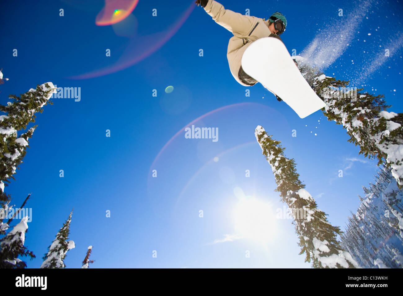 USA, Montana, Whitefish, Young man snowboarding in forest Stock Photo