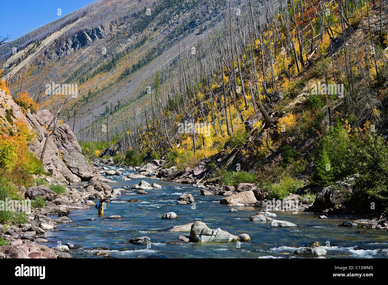 USA, Montana, Woman fly fishing in North Fork of Blackfoot River Stock