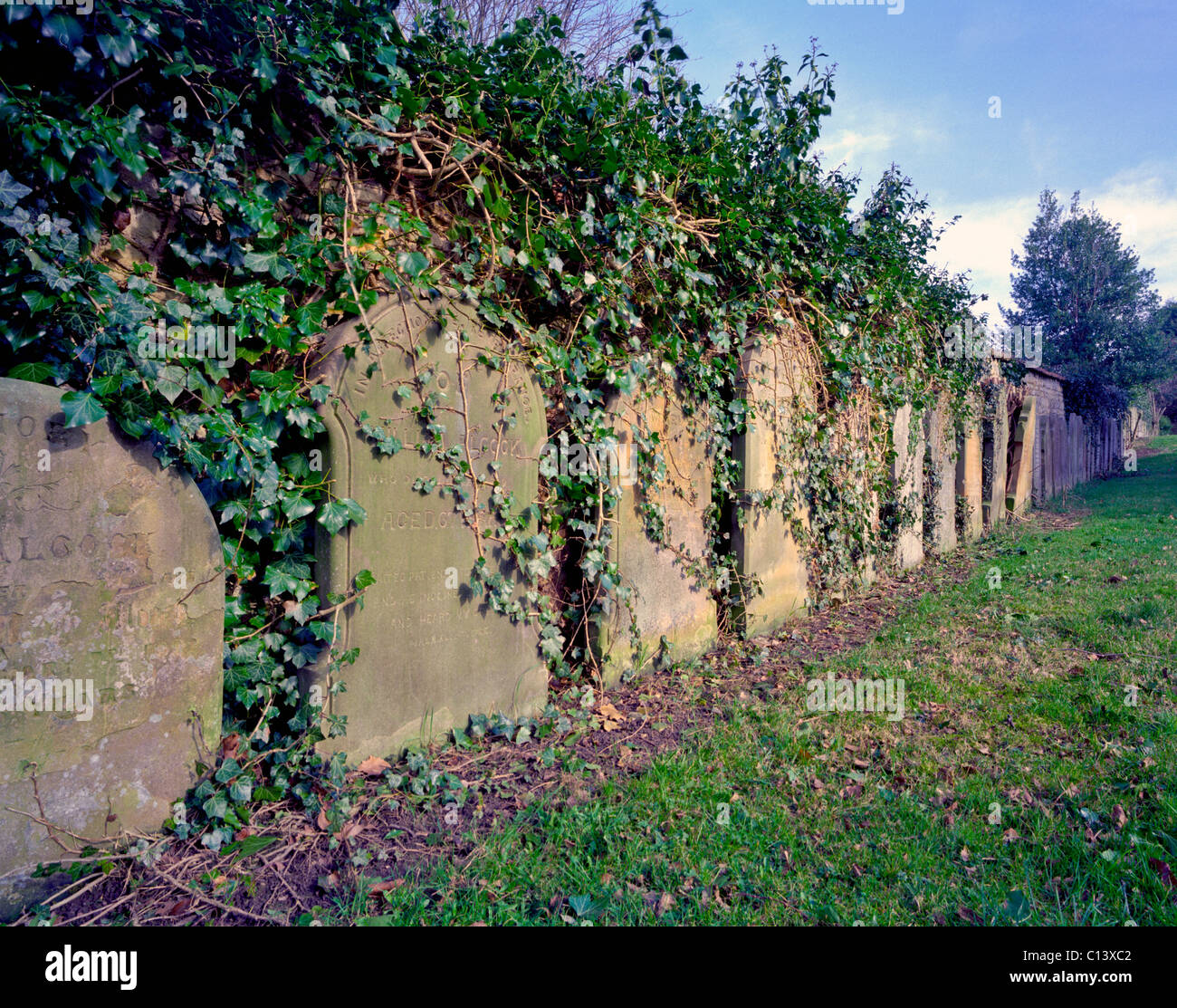 A line of grave stones Stock Photo