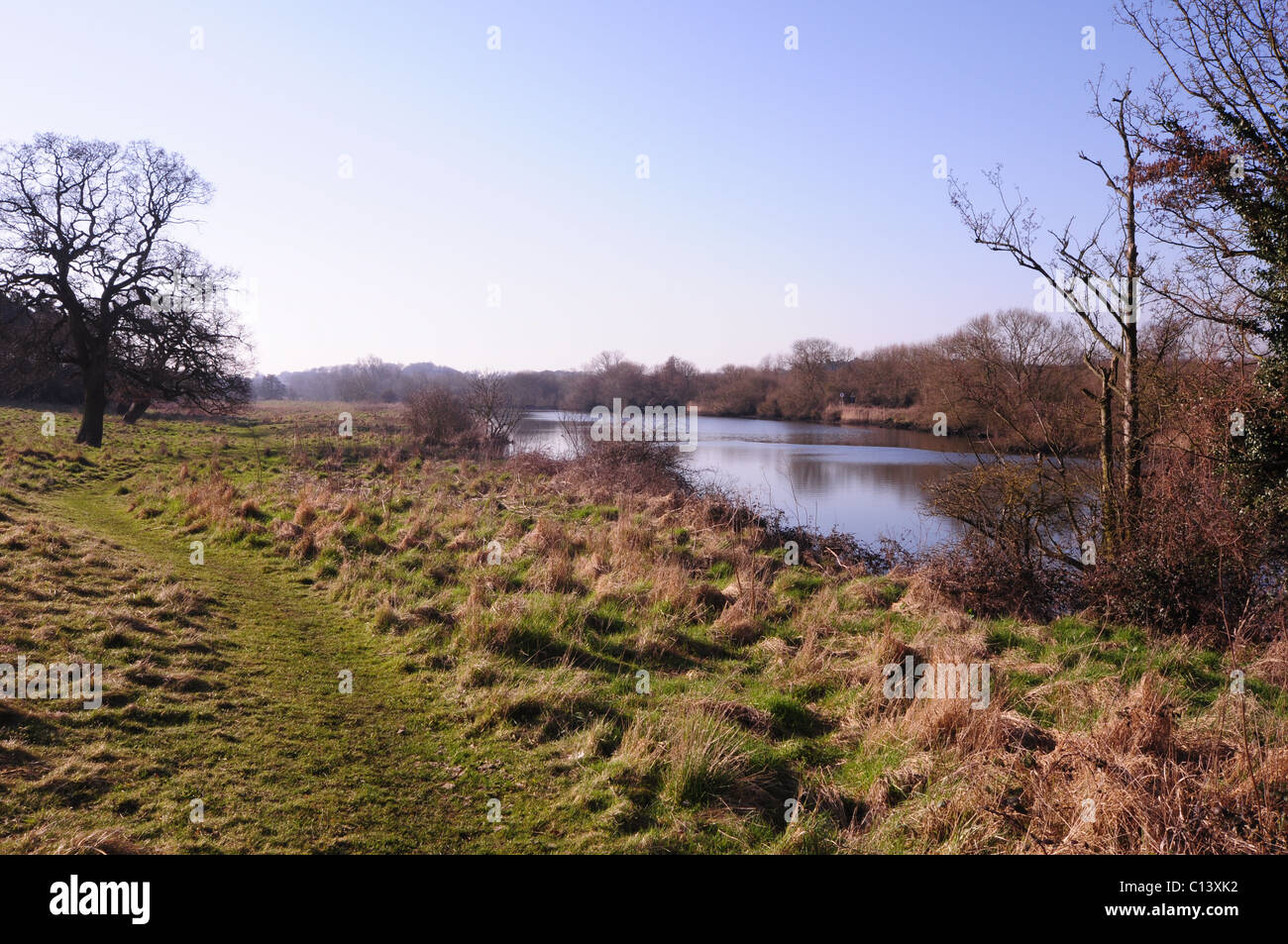 The River Yare at Postwick, east of Norwich, Norfollk. Stock Photo