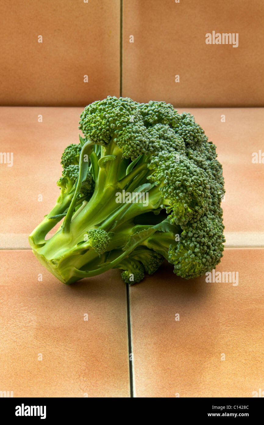 Broccoli vegetable green deep flavor texture fiber taste food healthy veggie floret raw fresh garden harvest stalk tree Stock Photo