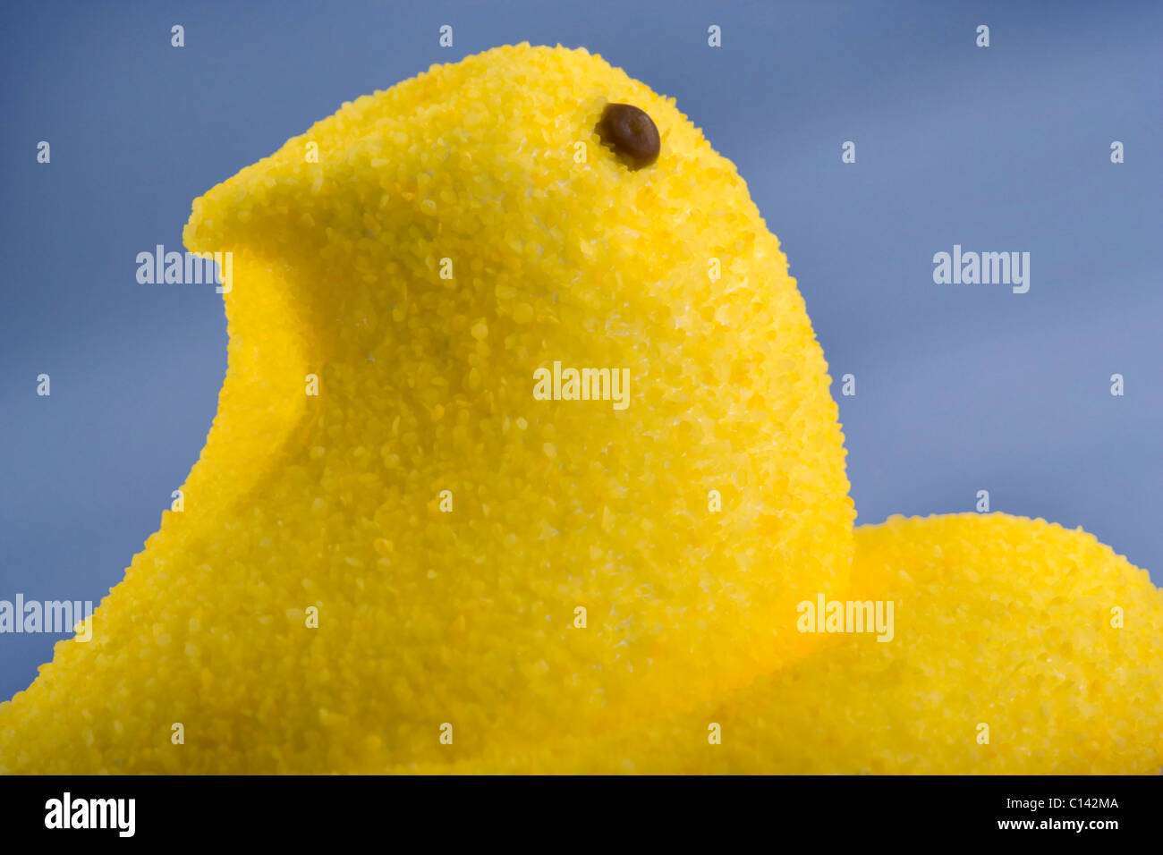 Yellow Easter Peeps candy marshmallow closeup Stock Photo Alamy