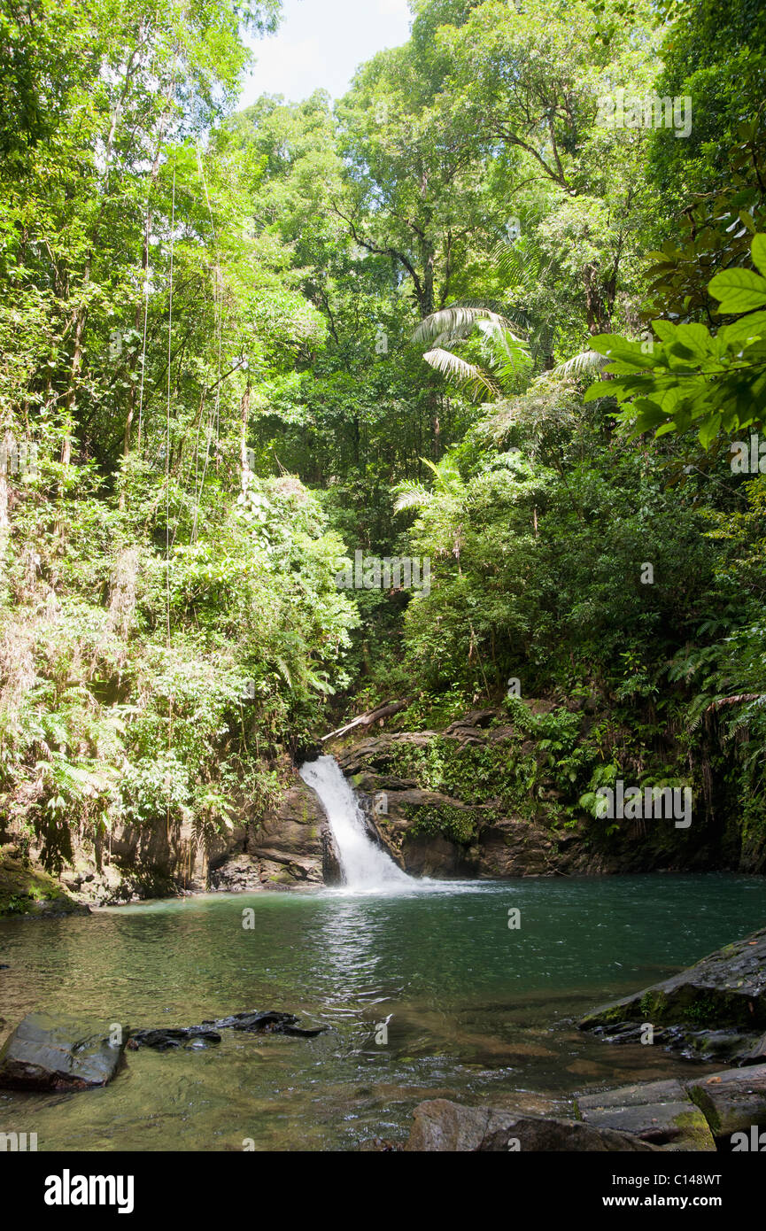 Waterfall in Amazon Rainforest, Brazil, South America Stock Photo Alamy