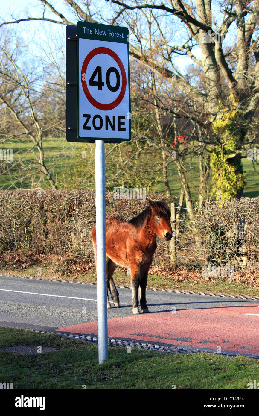 Pony road hi-res stock photography and images - Alamy