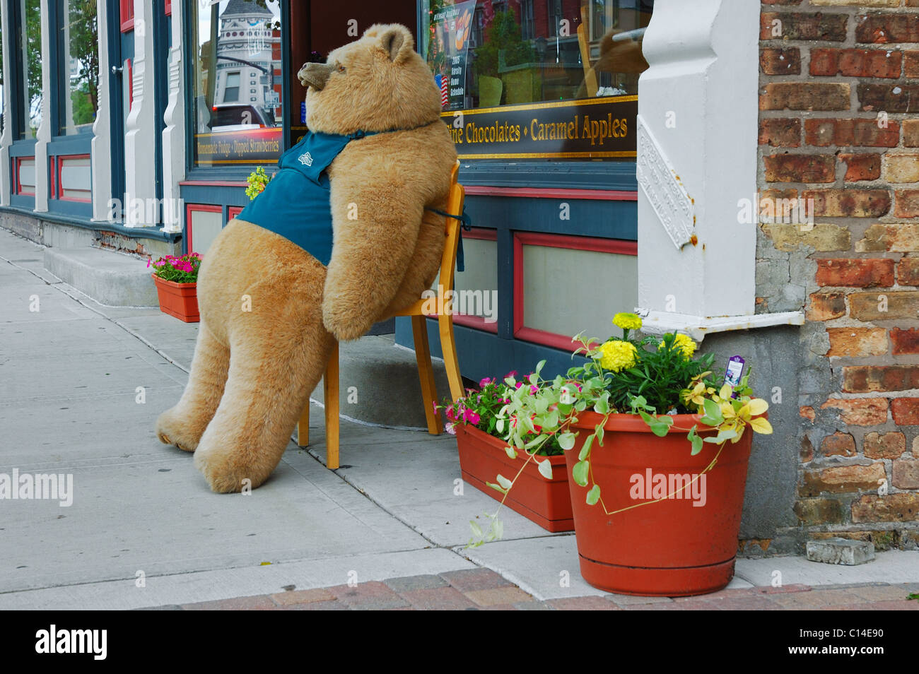 small chair for teddy bear