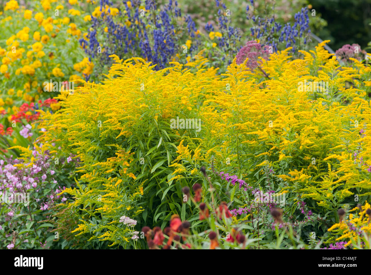 GARDENS CAWDOR CASTLE HIGHLAND SCOTLAND UNITED KINGDOM Stock Photo