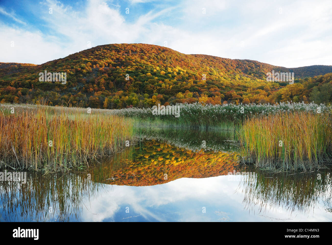 Autumn Mountain with lake reflection view and colorful foliage in ...