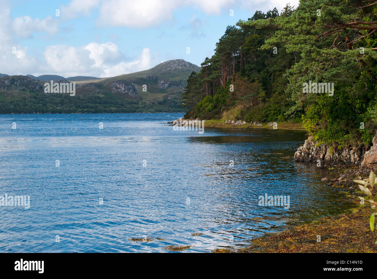 INVEREWE GARDENS HIGHLAND SCOTLAND UNITED KINGDOM Stock Photo