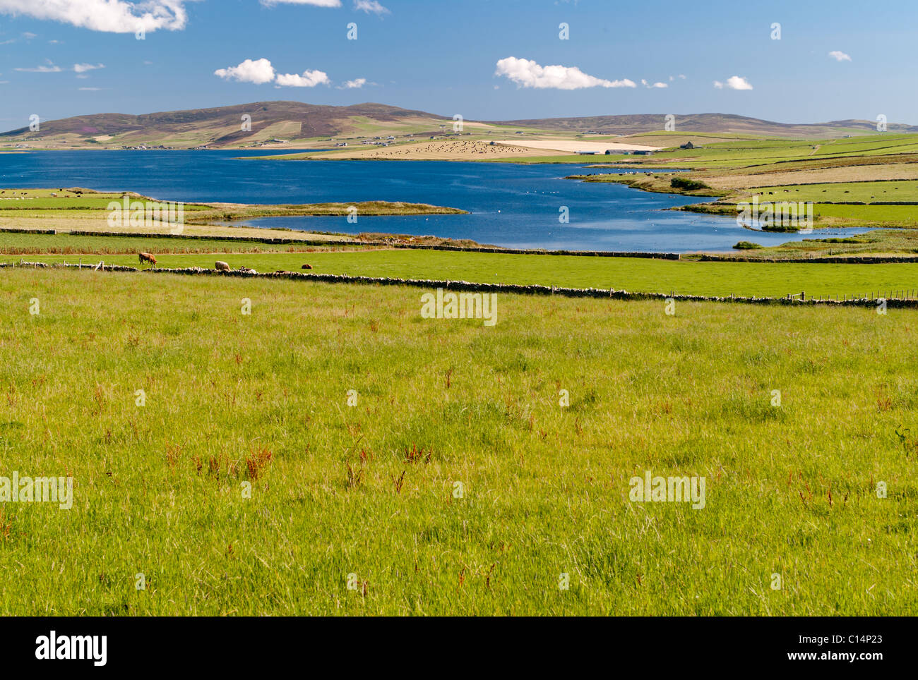 ORKNEY ISLANDS SCOTLAND UNITED KINGDOM Stock Photo