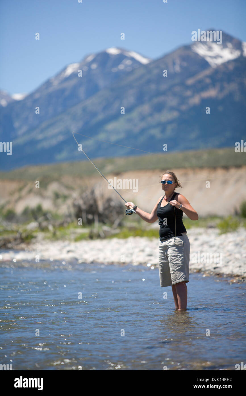 A female fly fishing in Jackson Hole's Snake River. Stock Photo