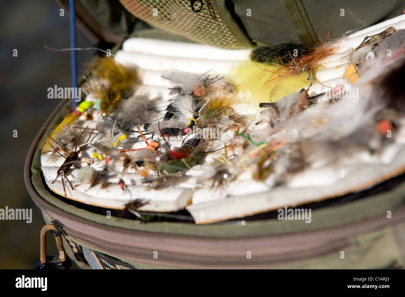 A close-up view of a collection of flies for fishing. Stock Photo