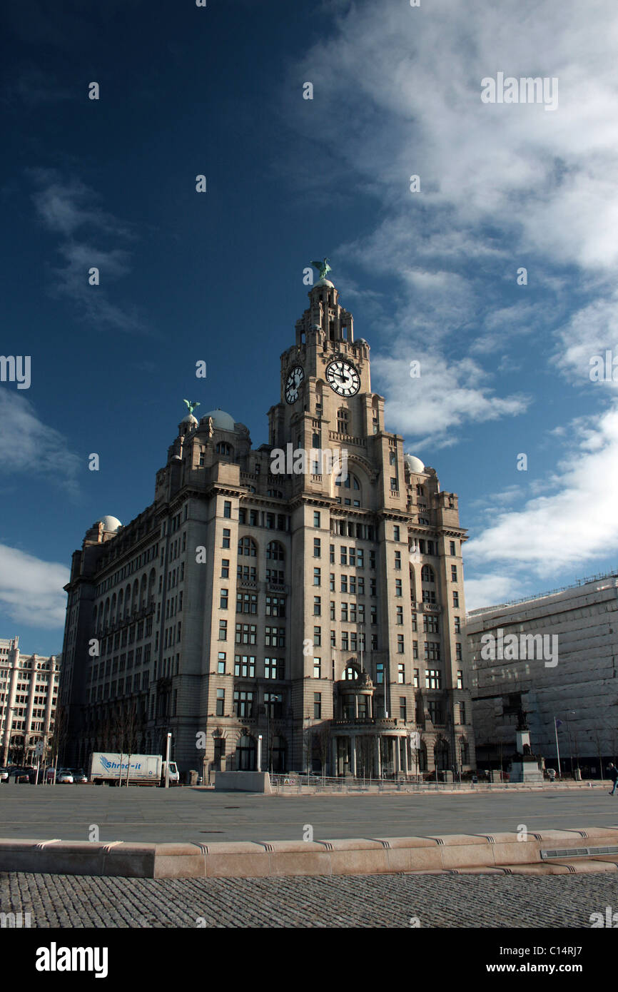 Liver Building in LIverpool shot against a blue sky Stock Photo