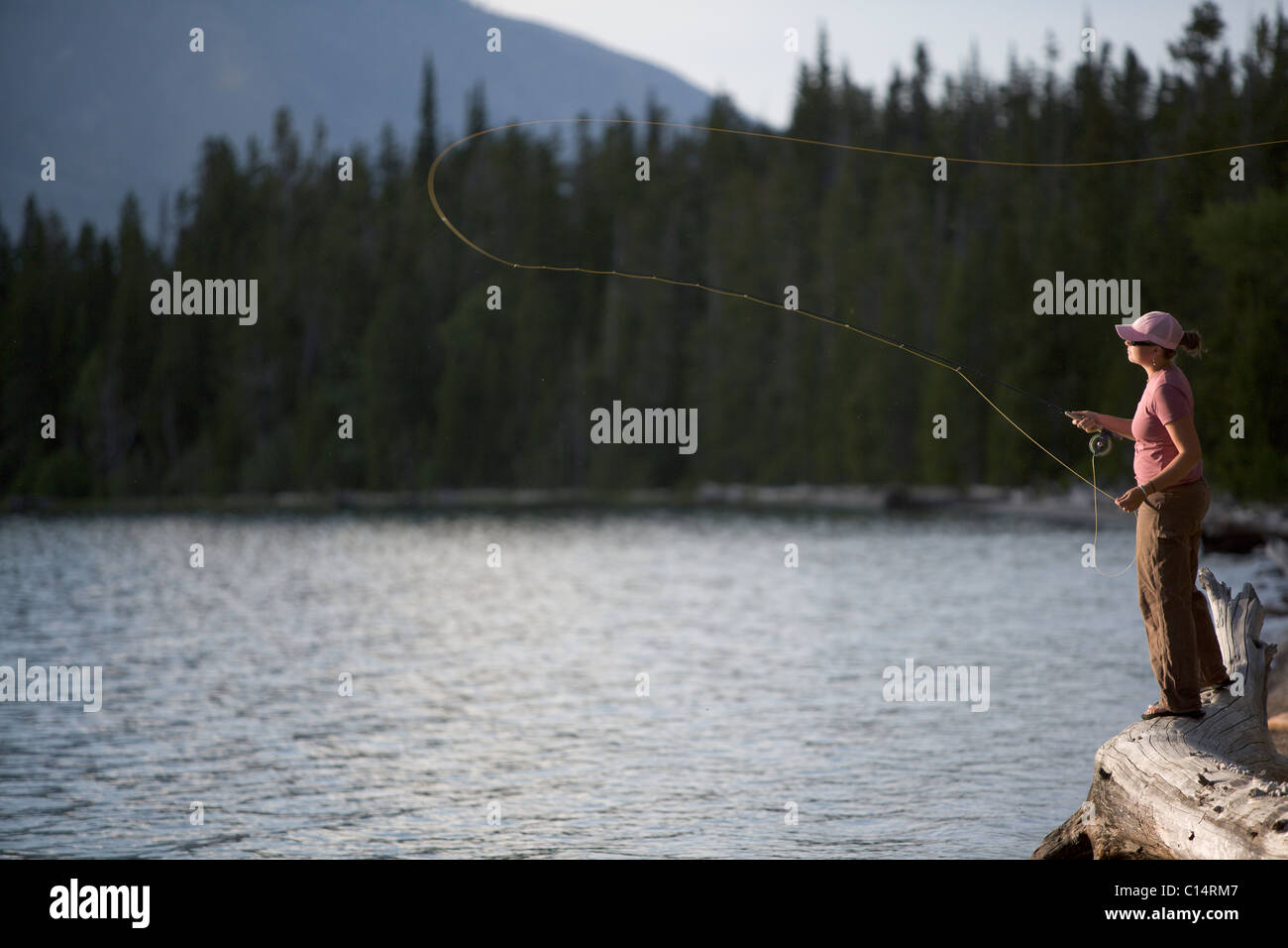 A woman casts her flyline from the shore of a lake. Stock Photo