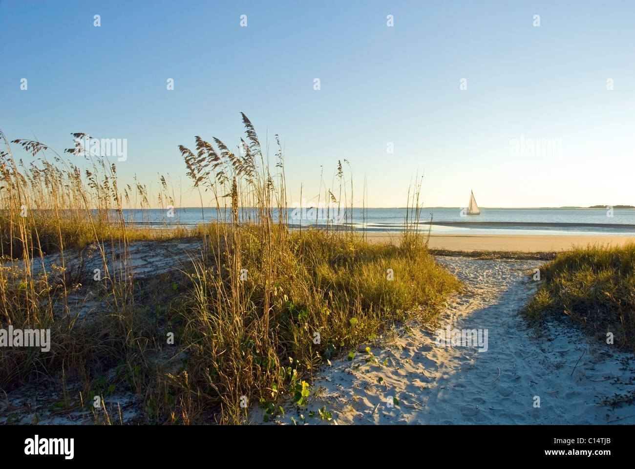 A sand pathway leads to the beach with a sailboat in the background on Hilton Head Island, SC. Stock Photo