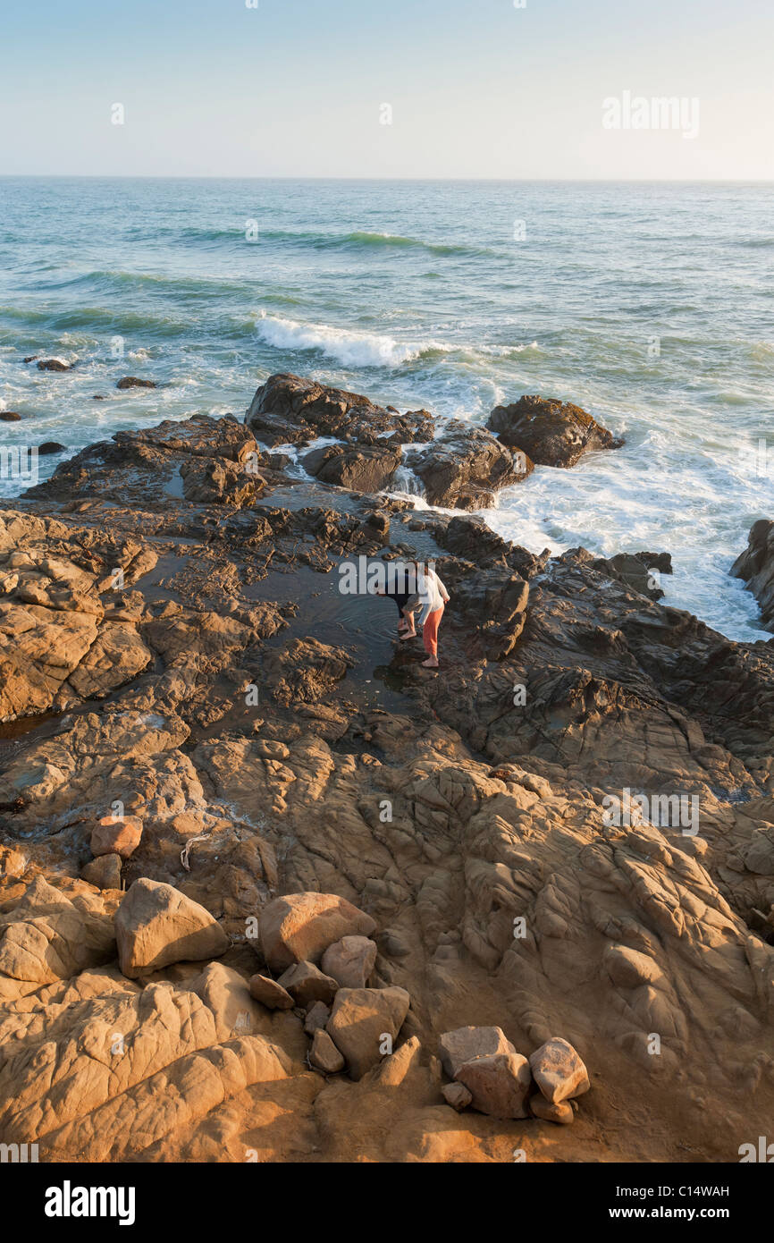 Couple exploring tidepools along Pacific Ocean near Moonstone Beach in Cambra, California. California Central Coast. Stock Photo