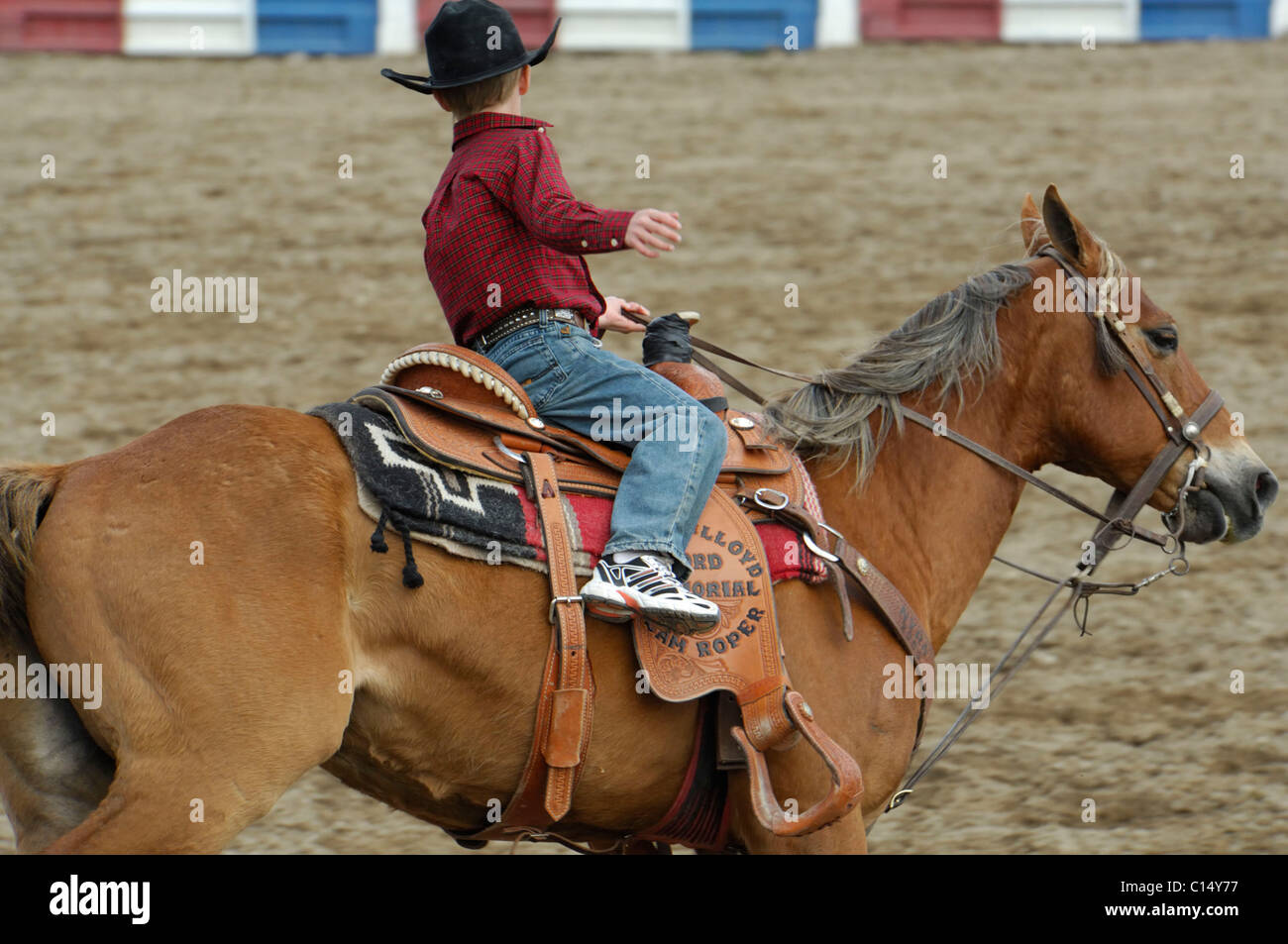 Team Roping, TieDown Roping, Calf Roping, Horse, Horses Stock Photo