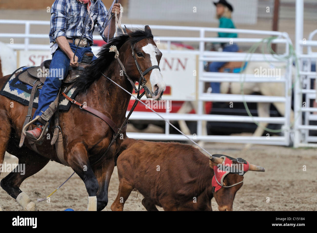 Team Roping, TieDown Roping, Calf Roping, Horse, Horses Stock Photo