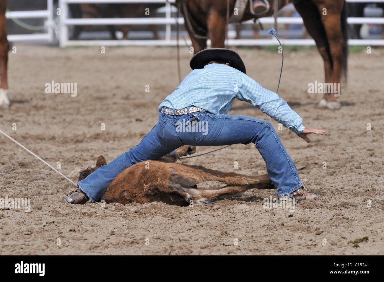 Team Roping, TieDown Roping, Calf Roping, Horse, Horses Stock Photo