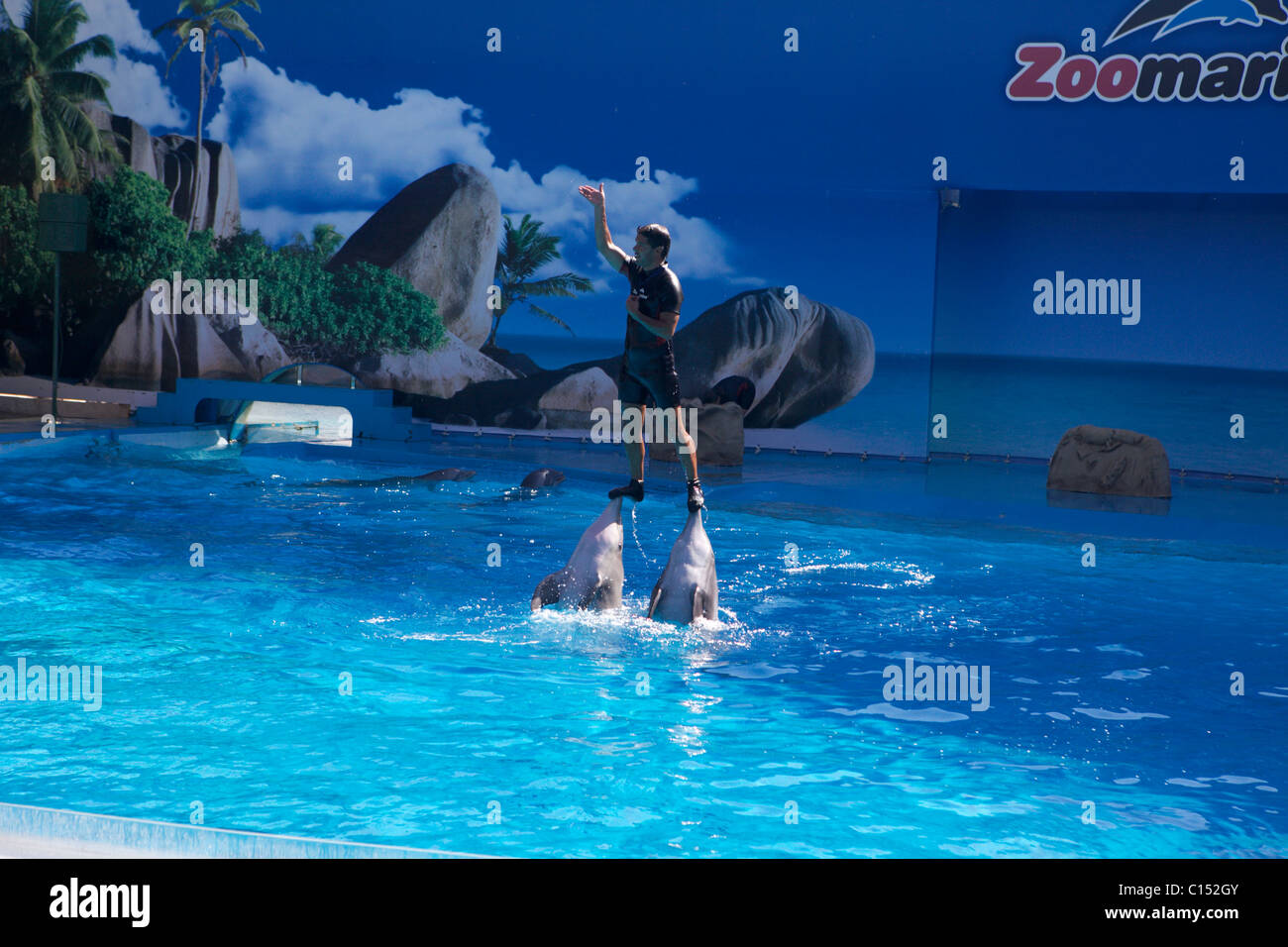 Zoo Marine in Albufeira Portugal dolphin show Stock Photo