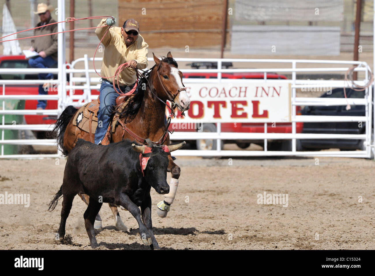 Team Roping, TieDown Roping, Calf Roping, Horse, Horses Stock Photo