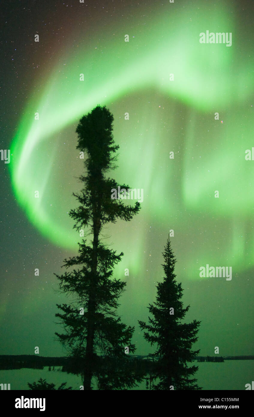 Aurora Borealis or Northern Lights, Northwest Territories, CANADA Stock Photo