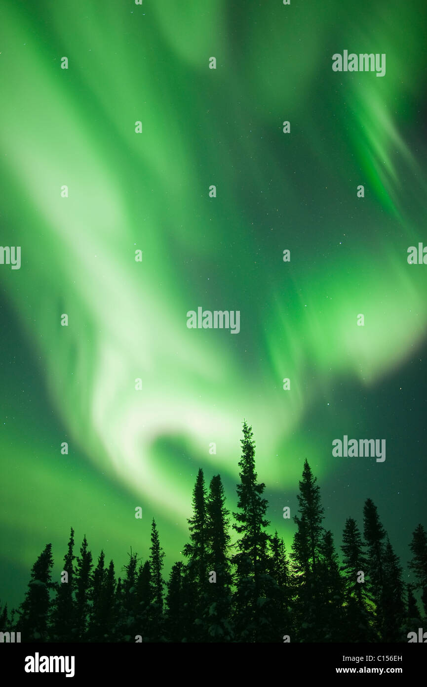 Aurora Borealis or Northern Lights, Northwest Territories, CANADA Stock Photo