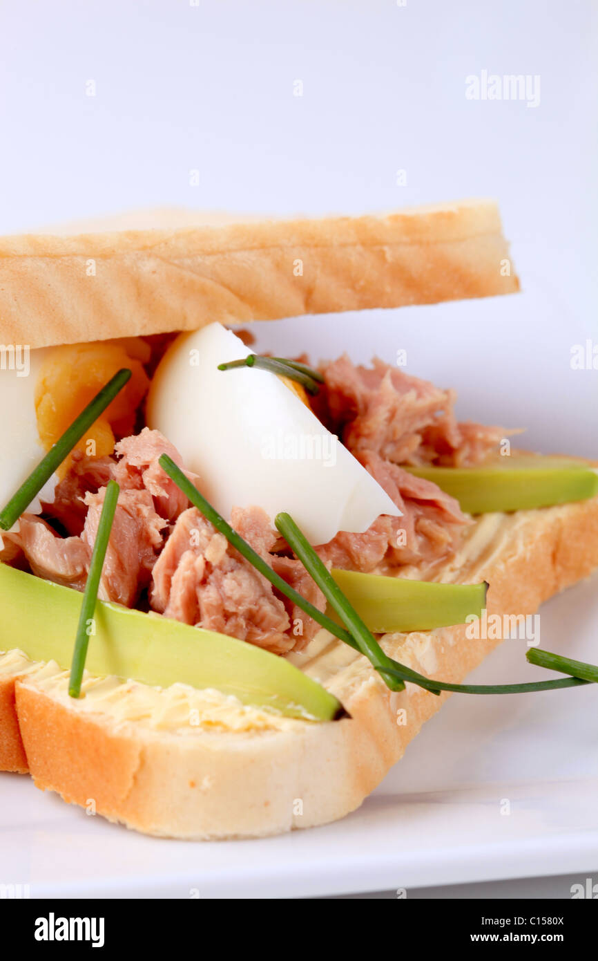 Tuna sandwich with avocado and boiled egg Stock Photo Alamy
