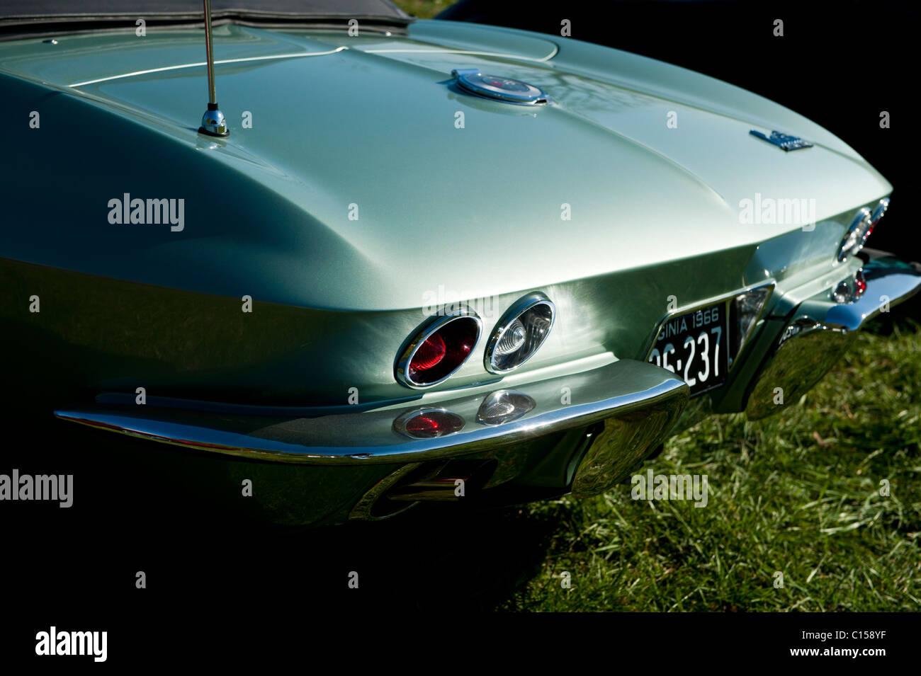 The rear view of a 1966 Chevrolet Corvette sparkling in the morning sun. Stock Photo