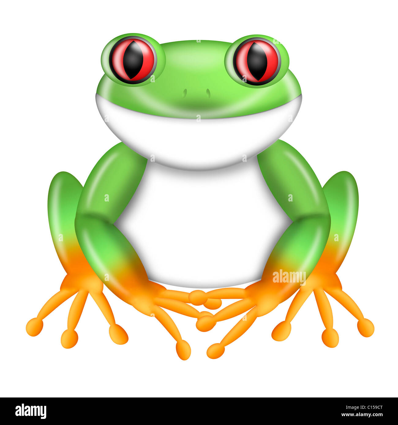 Red-Eyed Green Tree Frog Agalychnis callidryas from Costa Rica Illustration  Stock Photo - Alamy