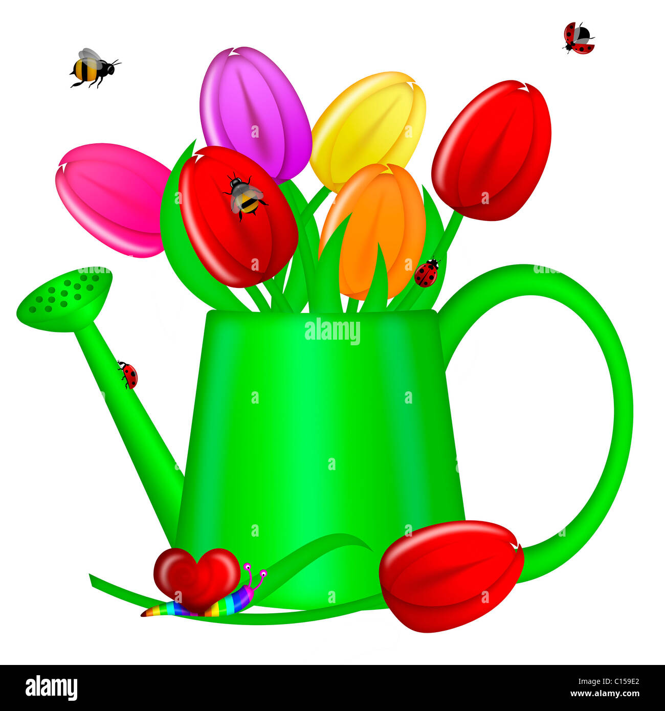 Watering Can with Spring Tulip Flowers Illustration Stock Photo - Alamy