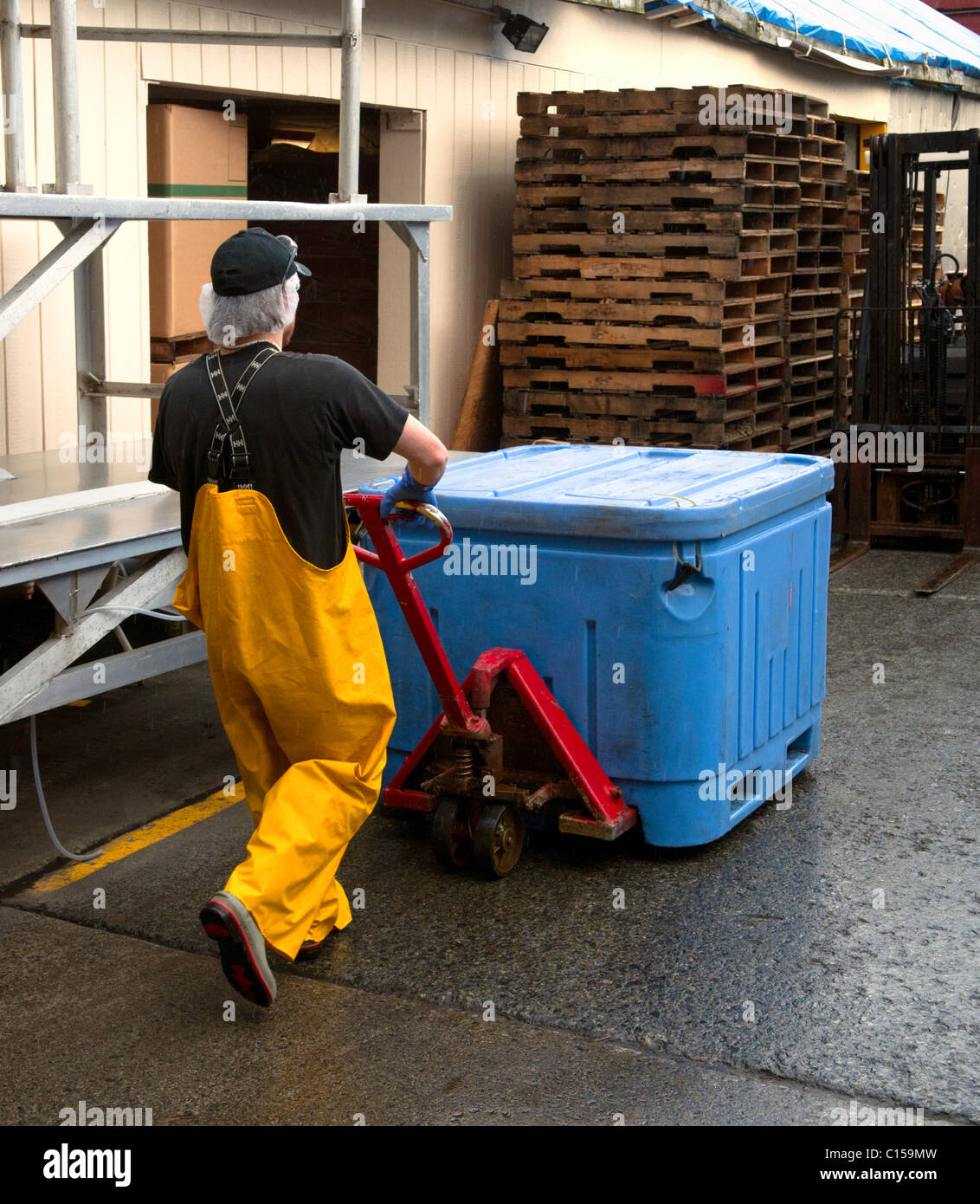 Fish Processing Industry Stock Photos & Fish Processing Industry Stock