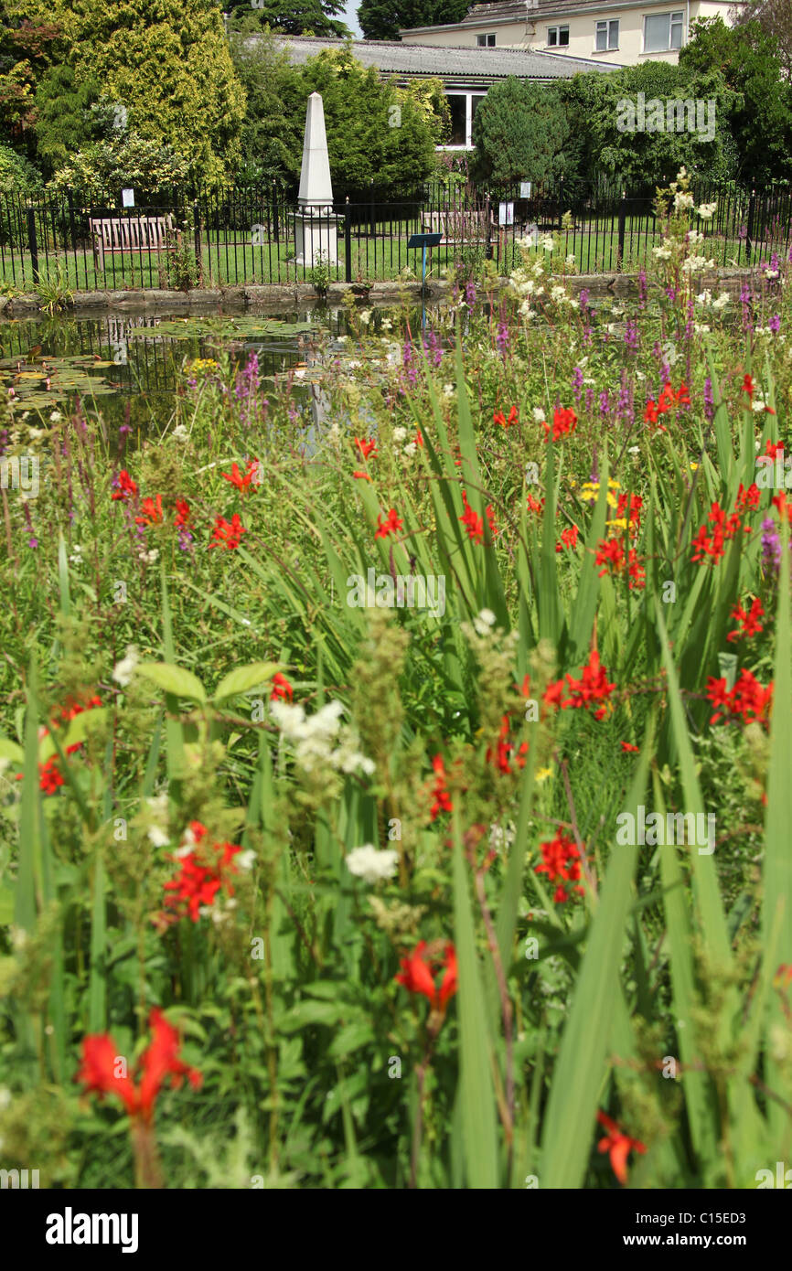 Stapeley Water Gardens, England. Summer view of Stapeley Water Gardens display gardens. Stock Photo