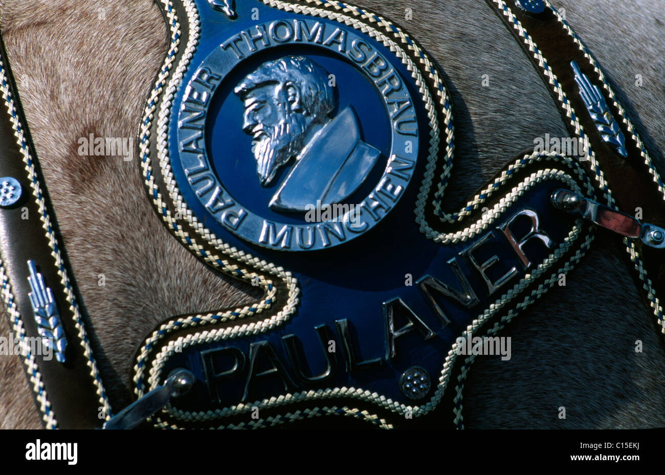 Horse Harness Decorative High Resolution Stock Photography and Images