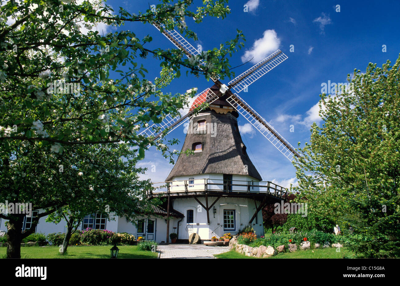 Windmill in Groedersby on the Schlei River, Schleswig-Holstein, Germany Stock Photo