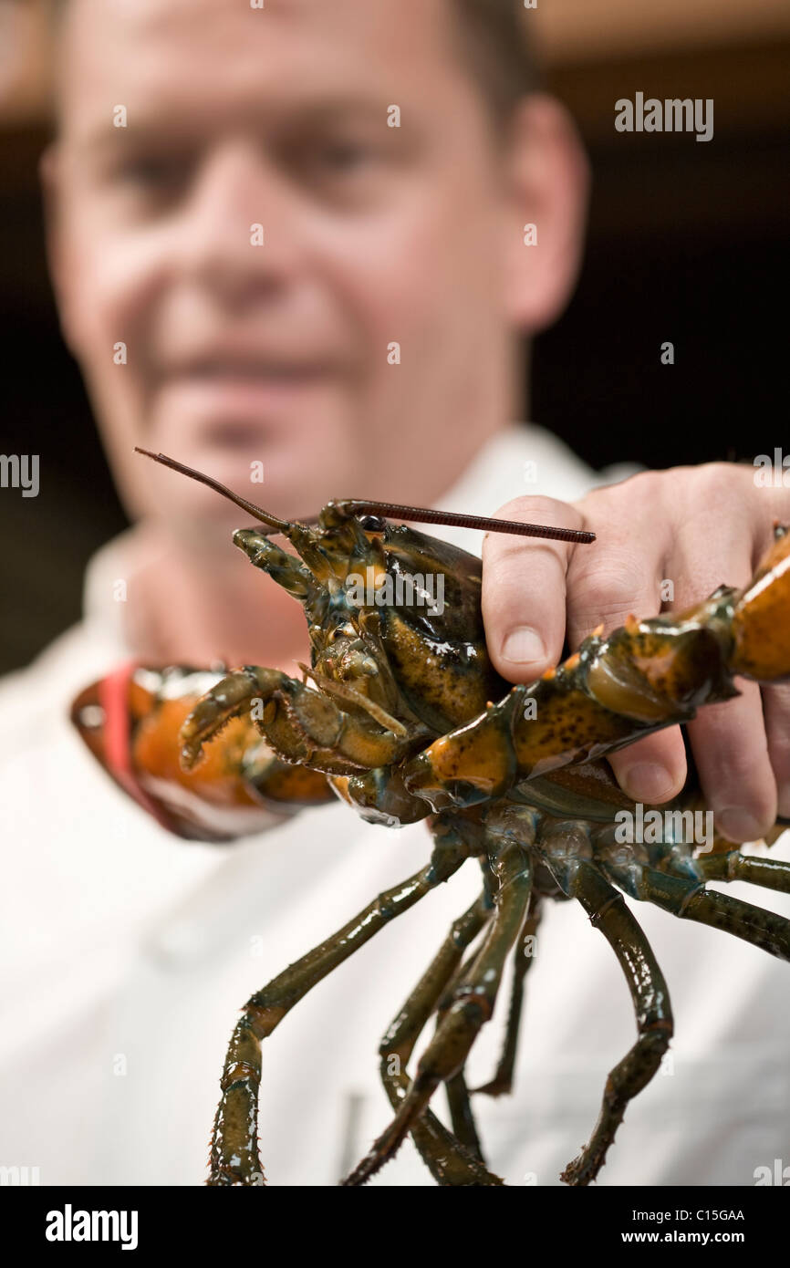 Man holding a lobster hires stock photography and images Alamy