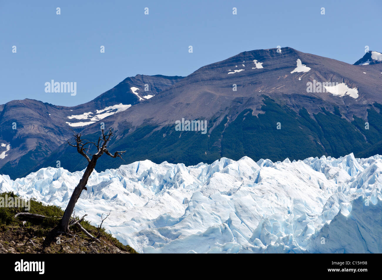 Perito Moreno glacier, Patagonia, Argentina Stock Photo