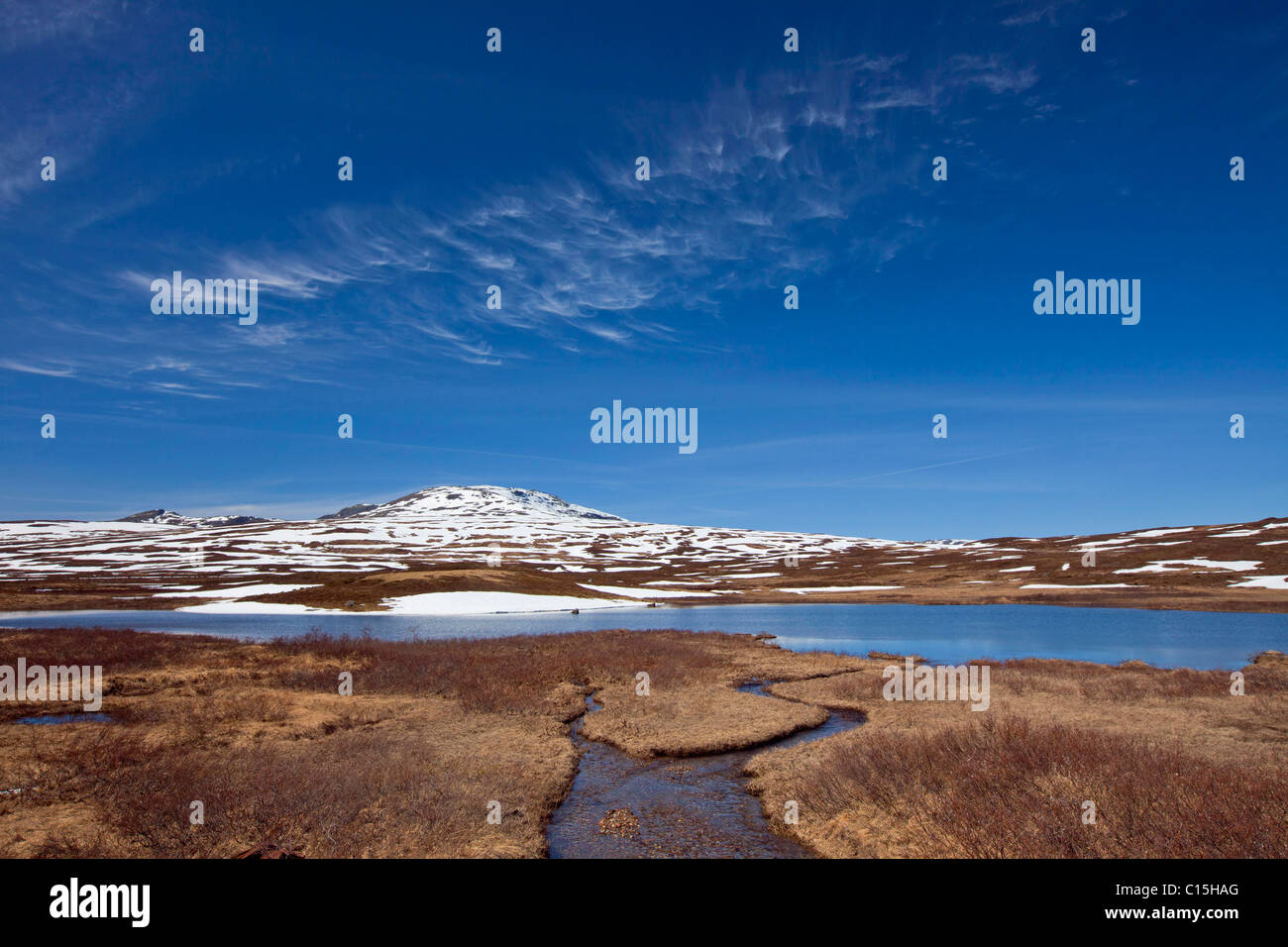 Borgafjaell in June, Jaemtland, Sweden. Stock Photo