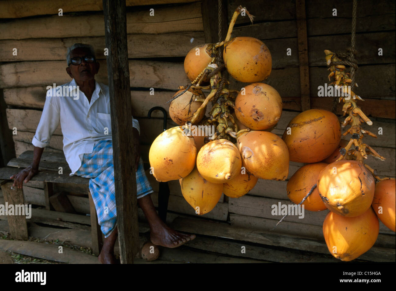 Coconuts, Dambulla, Sri Lanka, South Asia Stock Photo