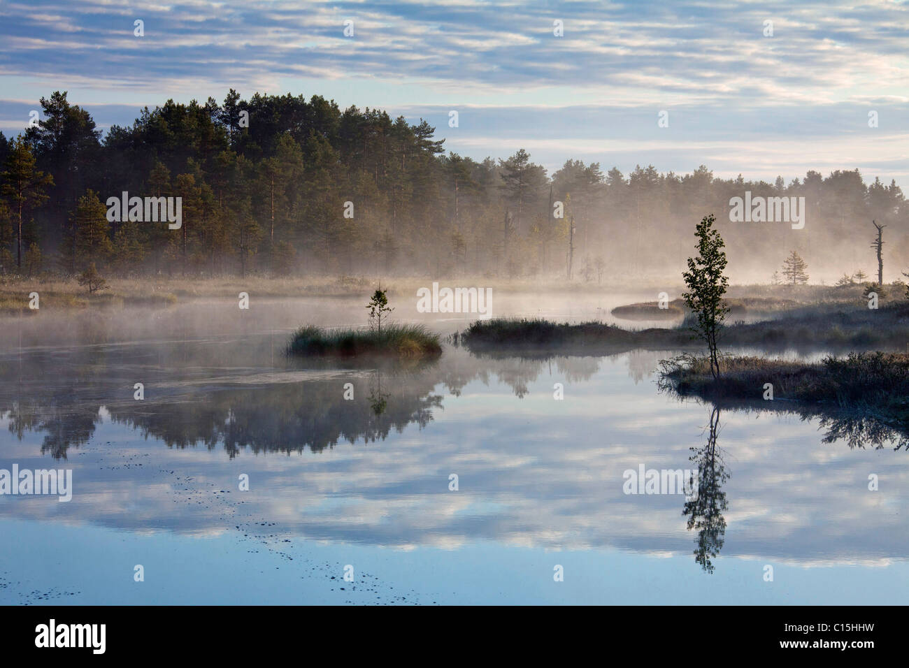 Morning mist over a bog in Oerebro, Sweden. Stock Photo